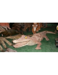 Cocodrilo Alligator 2