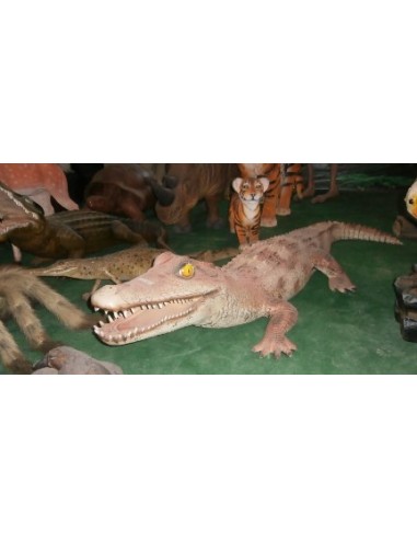 Cocodrilo Alligator