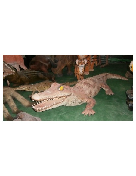 Cocodrilo Alligator