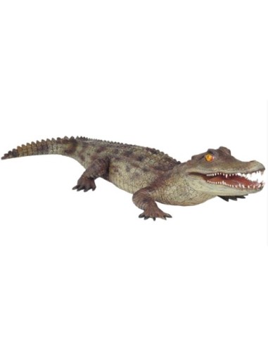 Cocodrilo Alligator