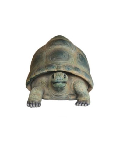 Tortuga gigante de Aldabra