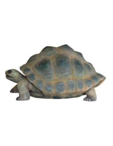 Tortuga gigante de Aldabra