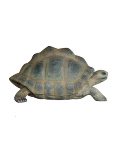 Tortuga gigante de Aldabra