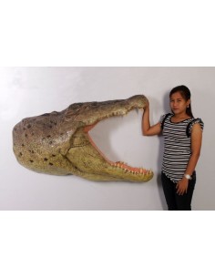 Cabeza cocodrilo 2
