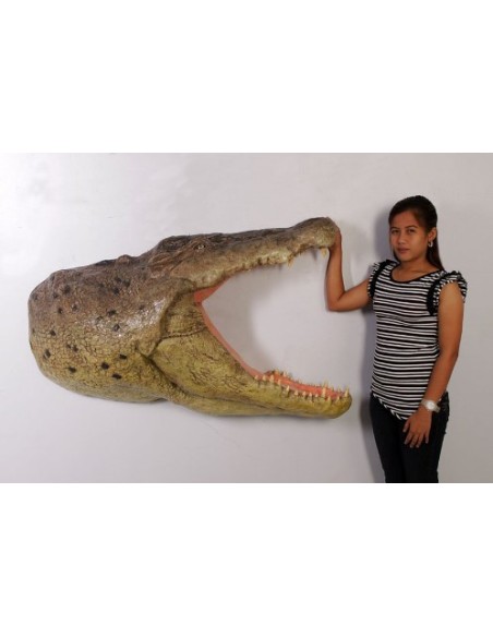 Cabeza cocodrilo