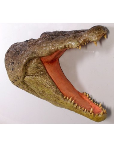 Cabeza cocodrilo
