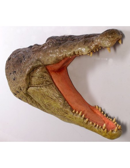 Cabeza cocodrilo