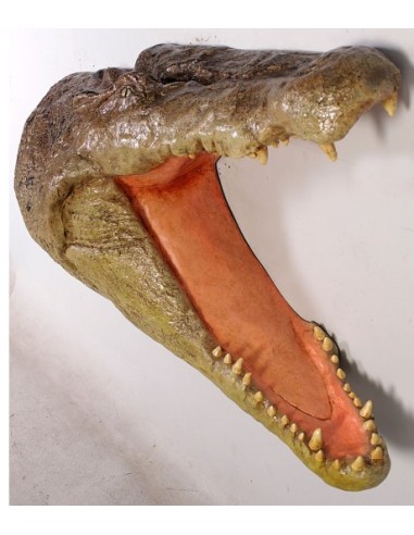 Cabeza cocodrilo