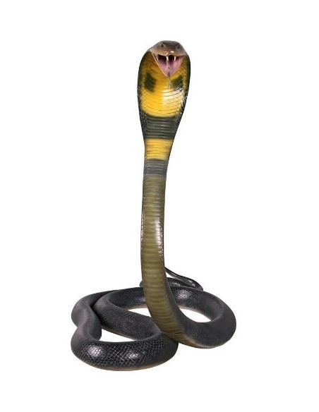 Serpiente Cobra