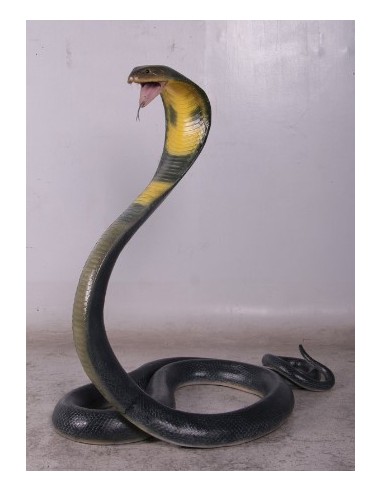 Serpiente Cobra