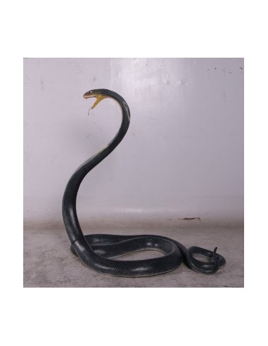 Serpiente Cobra