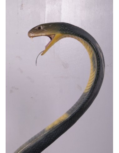 Serpiente Cobra