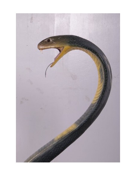 Serpiente Cobra