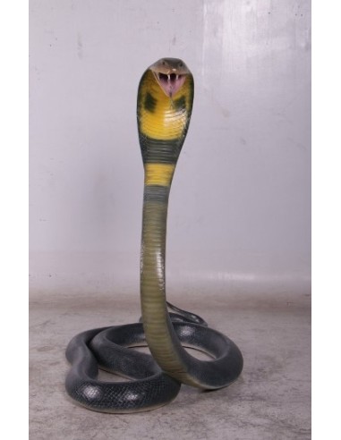 Serpiente Cobra
