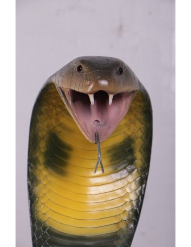 Serpiente Cobra