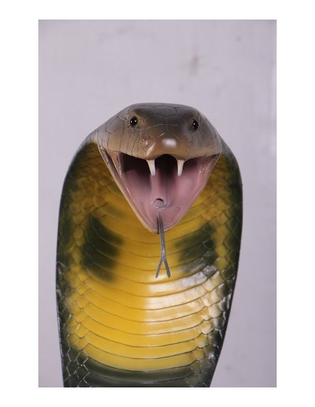 Serpiente Cobra