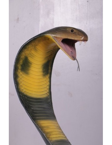 Serpiente Cobra