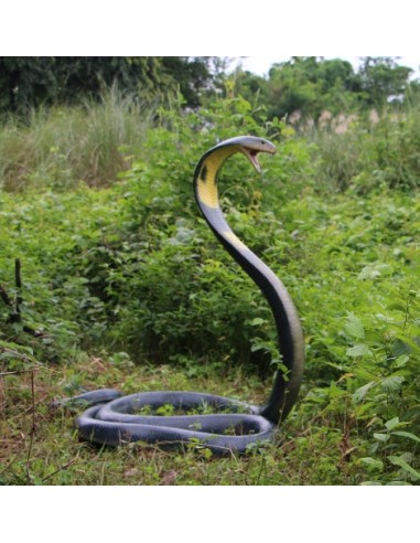 Serpiente Cobra