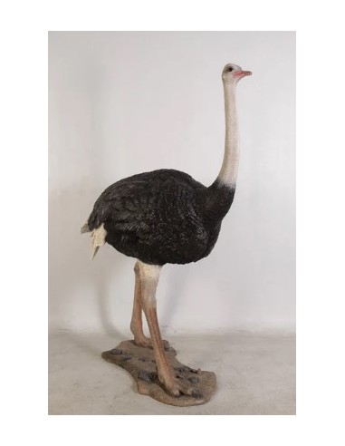 Avestruz