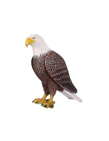 Águila Americana