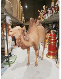 Camello Reyes Magos 2