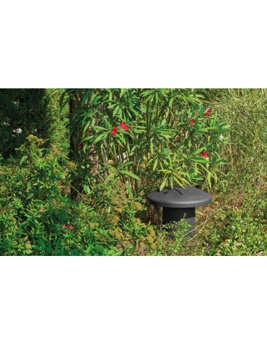 Focal Littora OD SUB 12 Subwoofer