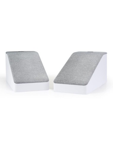 Polk Audio Reserve R-900