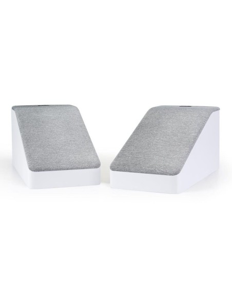 Polk Audio Reserve R-900