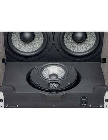 Focal 1000 ICLCR5