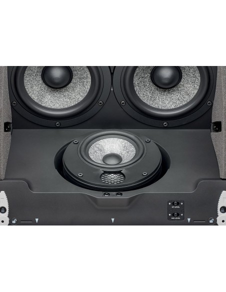 Focal 1000 ICLCR5