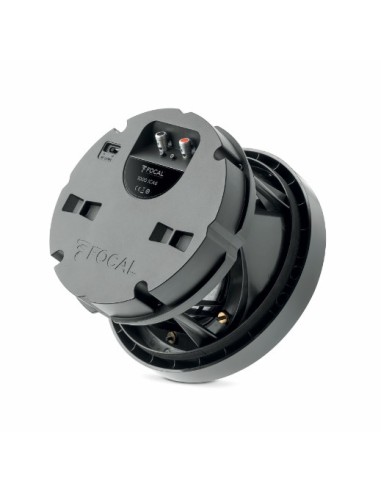 Focal 1000 ICA6