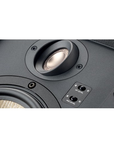 Focal 300 IW6