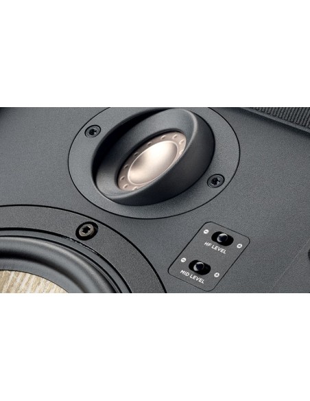Focal 300 IW6