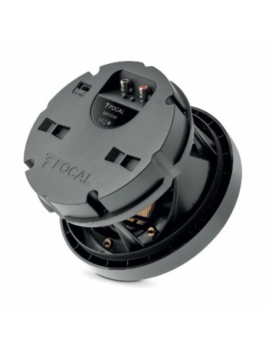 Focal 300 ICA6