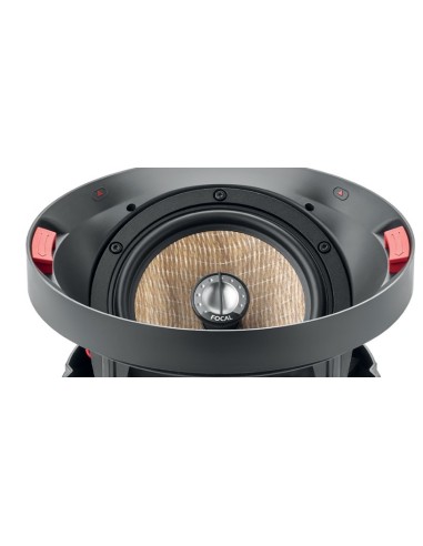 Focal 300 ICA6