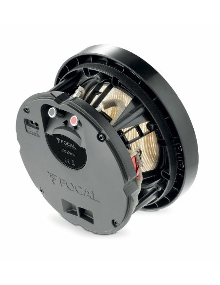 Focal 300 ICW6