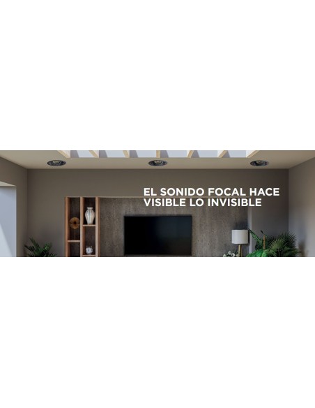 Focal 300 ICW6