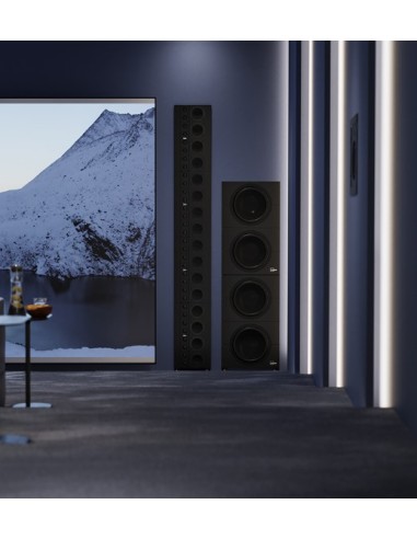 Subwoofer pasivo dual 12" sellado para home cinema