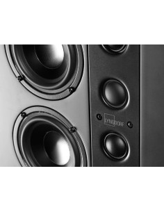 Lyngdorf LS-1000 Center 2