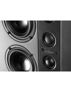 Lyngdorf LS-1000 Right 2