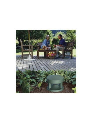 Bose FreeSpace 360P II