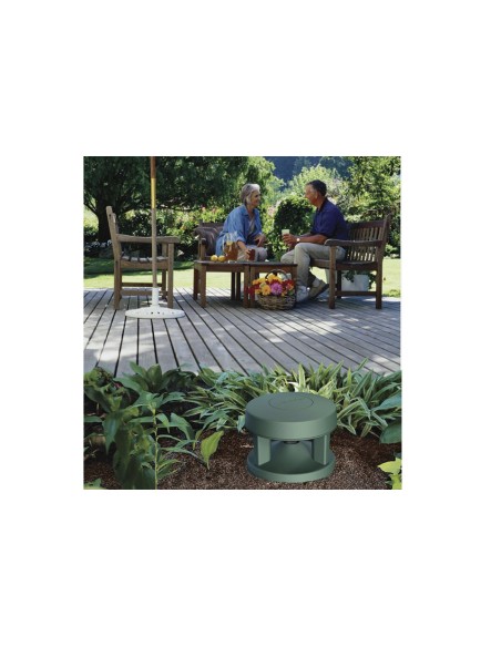 Bose FreeSpace 360P II