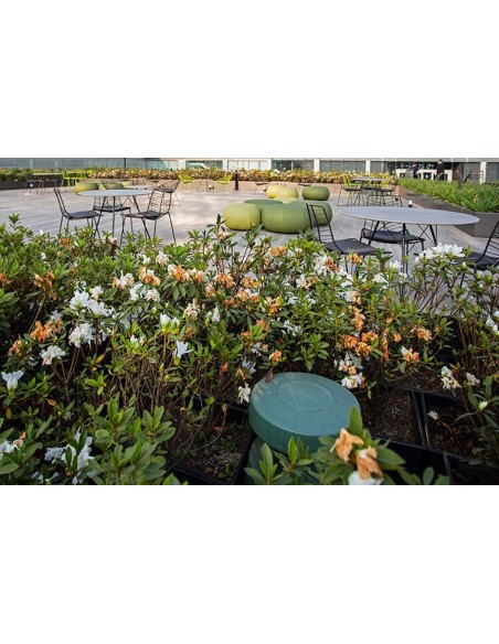 Bose FreeSpace 360P II