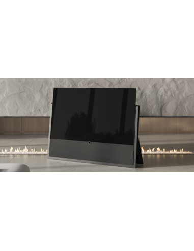 Loewe iconic v.65 (expo)