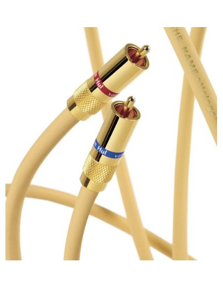 VAN DEN HUL The Name cable audio rca
