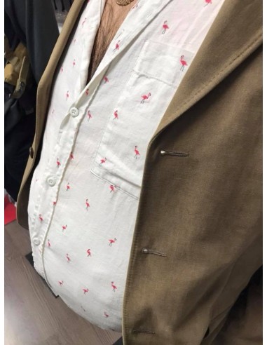 Torrente, el brazo tonto de la ley