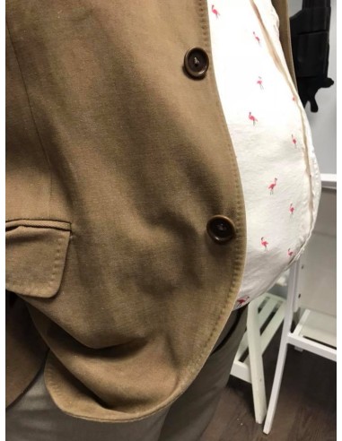 Torrente, el brazo tonto de la ley