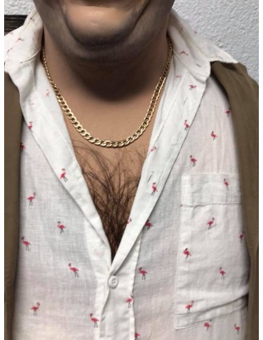 Torrente, el brazo tonto de la ley